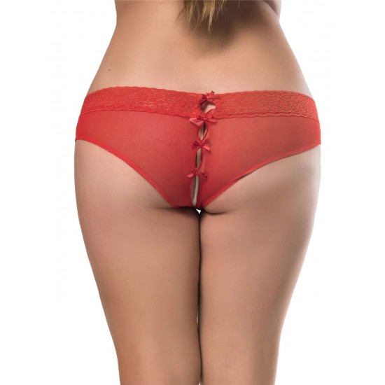 Plus Size Sexy Holiday Peek A Boo Back Mesh Crotchless Valentines Panty