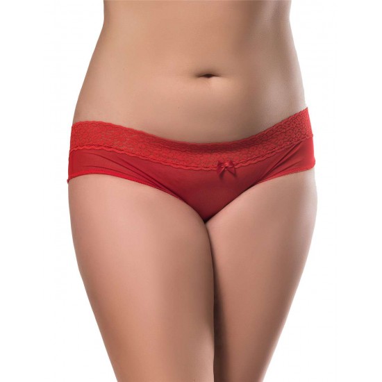 Plus Size Sexy Holiday Peek A Boo Back Mesh Crotchless Valentines Panty