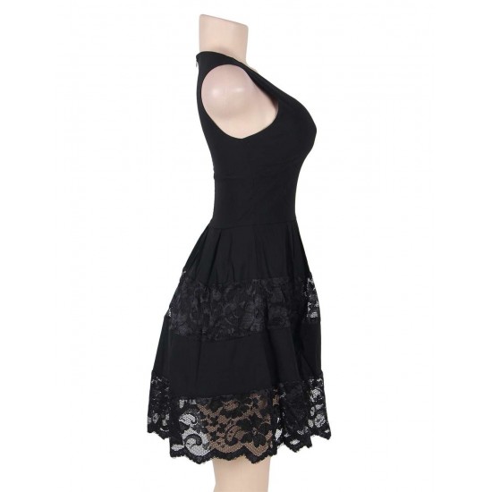 Lace Mesh Sleeveless Pleated Black Skater Dress