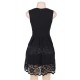 Lace Mesh Sleeveless Pleated Black Skater Dress