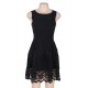 Lace Mesh Sleeveless Pleated Black Skater Dress