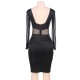 Black Mesh Sexy Bodycon Long Sleeves Dress