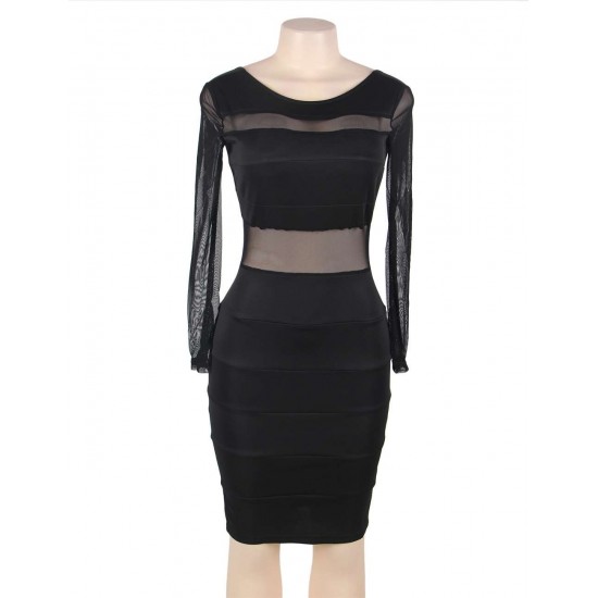 Black Mesh Sexy Bodycon Long Sleeves Dress