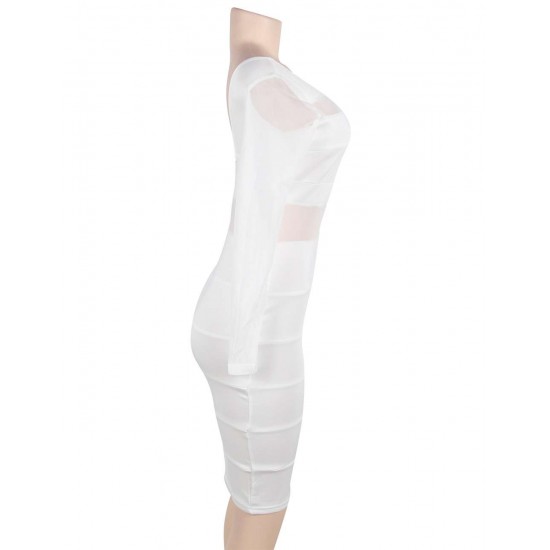 White Mesh Sexy Bodycon Long Sleeves Dress