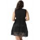 Plus Size Lace Mesh Sleeveless Pleated Black Skater Dress