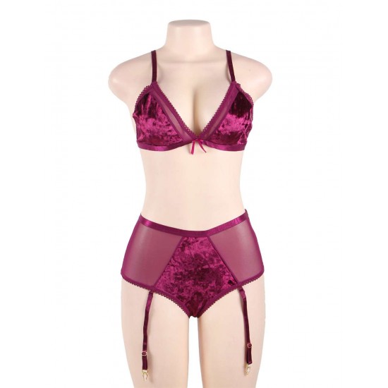 Soft Velvet With A Sheer Mesh Trim Bra Set