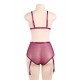 Soft Velvet With A Sheer Mesh Trim Bra Set