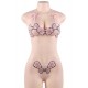 Sexy Flower Embroidery Fashion Bra Set